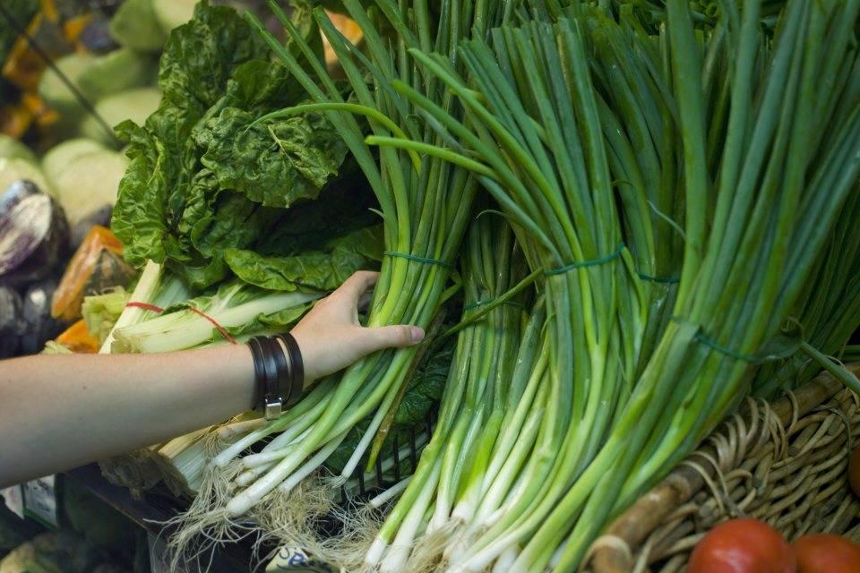 Consumo de hortalizas registra una caída del 60%, señala Fedeagro
