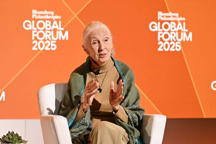 Conservationist Jane Goodall Passes Away At 91 While On U.S. Speaking Tour