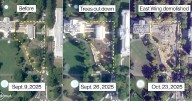 At least 2 historic magnolia trees, Kennedy Garden appear to have been removed to make way for Trump's White House ballroom