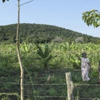 Global race for rare earths comes to Kenya's Mrima Hill