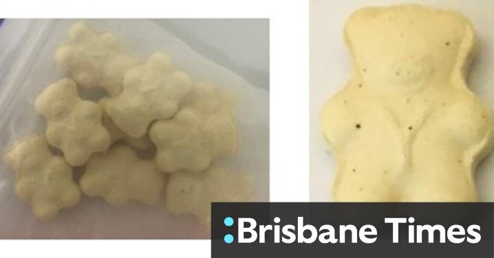 Second person dies in Queensland from taking bear