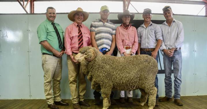 Cottage Park Merino stud sale results, top price and average