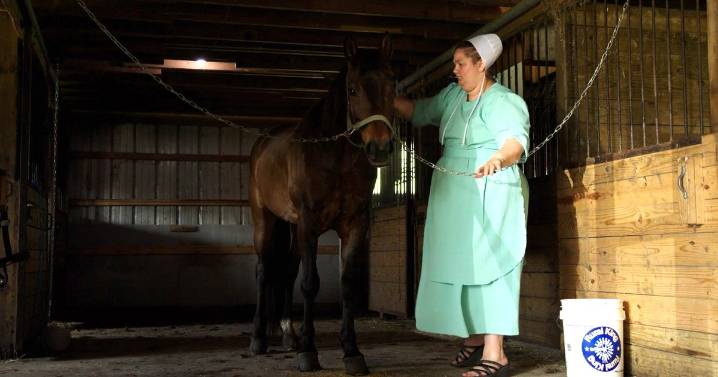 Documentary 'Keep Quiet and Forgive' exposes sexual abuse in Amish communities