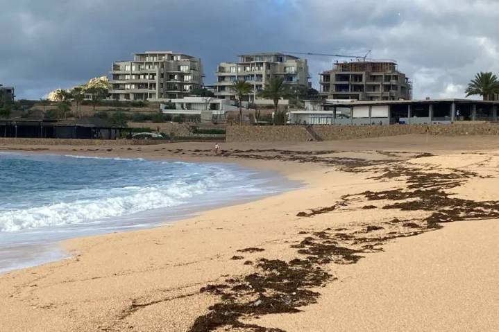 Playas de Los Cabos seguirán cerradas hasta cumplir normas sanitarias