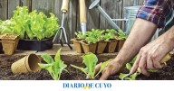 Qué sembrar en octubre en nuestra huerta: consejos útiles