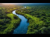 Sheinbaum instruyó a Conagua frenar concesiones para desechos de mineras