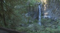 Spectacular scenery awaits at Drift Creek Falls in Siuslaw National Forest