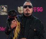 Pepe Aguilar, Aitana, Los Tigres del Norte y Carín León cantarán en los Latin Grammy