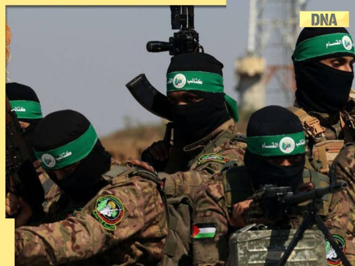 Hamas welcomes Trump's Gaza peace plan with conditions; what are they?