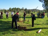 Abierto el plazo de inscripción para las jornadas de plantación participativa en la finca El Borril en Polán