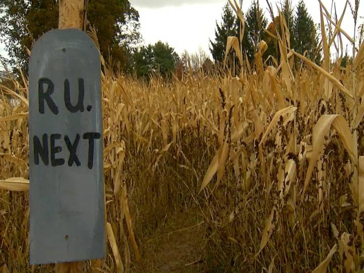 Sixth generation family farm finds creative ways to stay afloat amidst rising costs