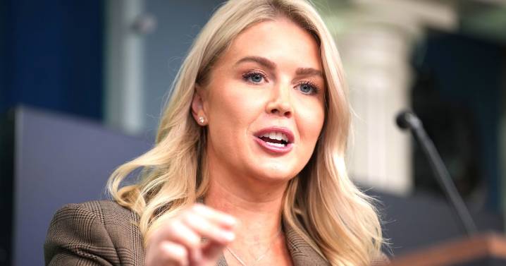 Karoline Leavitt Turns White House Comment Line Into a Petty Trolling Stunt