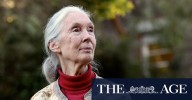 Jane Goodall had ‘old friends’ in Sydney, but rebuked Australian conservation efforts