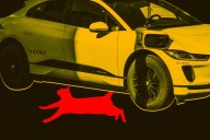 Beloved Bodega Cat Reportedly Killed by Driverless Waymo