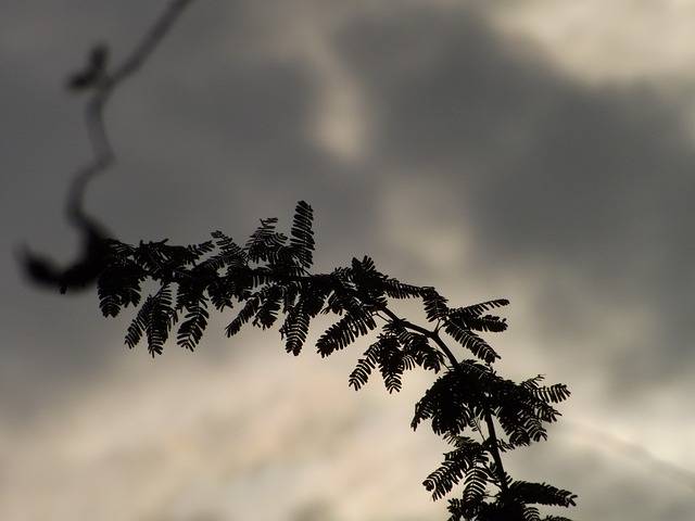 Monsoon To Withdraw From Odisha In Next 2-3 Days, Heavy Rain Warning For Today