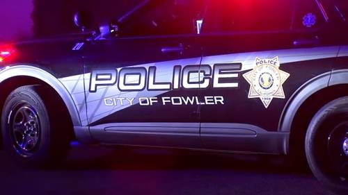 Man, woman, multiple animals found dead inside Fowler home, chief says