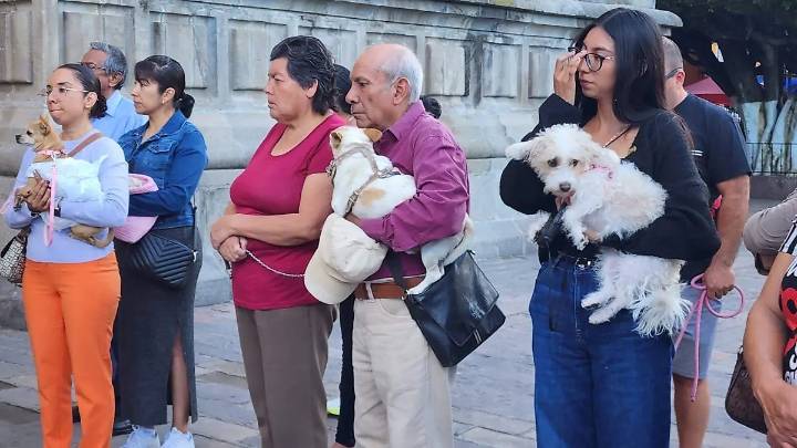 Acámbaro celebra bendición de animales en honor a San Francisco de Asís
