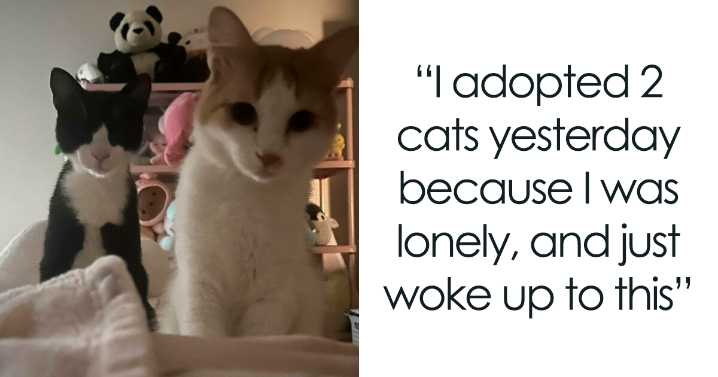 47 Soul-Warming Photos Of Newly Adopted Pets Embracing Their New Homes