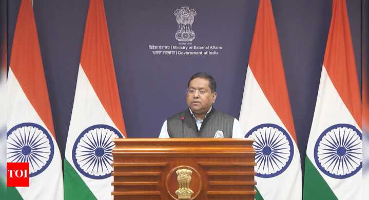 'Some Indian companies': China OKs supply of rare earth magnets to India; what MEA said