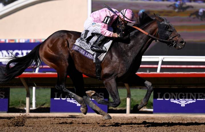 This Breeders’ Cup trend is not a break for bettors at Del Mar, beyond