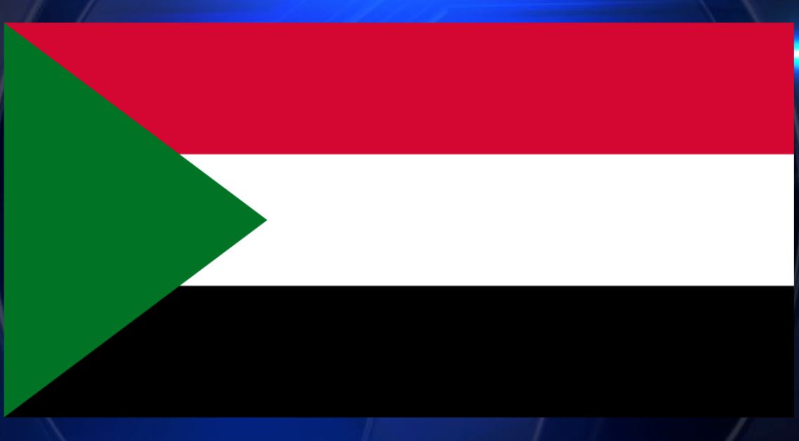 Sudan’s paramilitary killed hundreds including hospital patients in Darfur, residents say