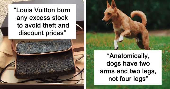 50 New ‘Today I Learned’ Facts That Prove It’s Never Too Late To Learn Something New