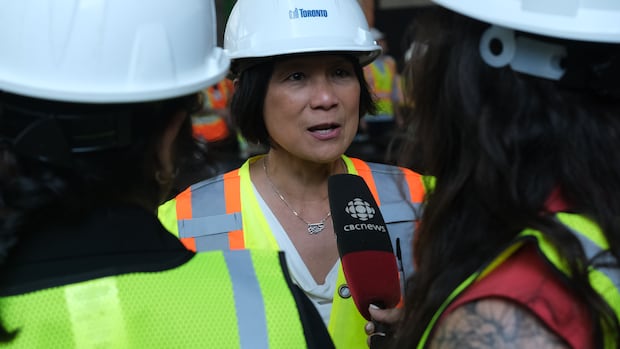 Feds announce $283M for Toronto sewer upgrades in Black Creek