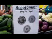 Pressure mounts for Democrats and Republicans to end shutdown as millions fear SNAP benefit loss