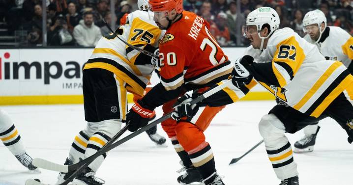 Chris Kreider scores twice as Ducks beat Penguins in home opener