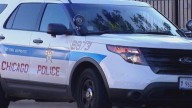 Federal agents clash with two people in Lake View East, police say