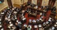 El Senado sesionará este jueves para tratar los vetos sobre el Garrahan y universidades
