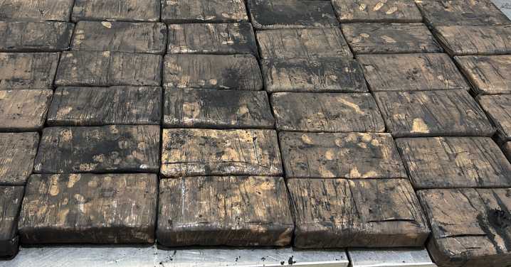 Adelaide news: Prospect woman charged after plot to import $20.1 million of cocaine into Australia