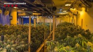 Desmantelada una organización que distribuía droga por Europa a través de servicios de paquetería
