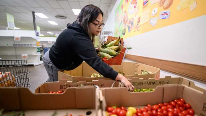 Michigan lawmakers weigh intervening as food assistance cutoff looms