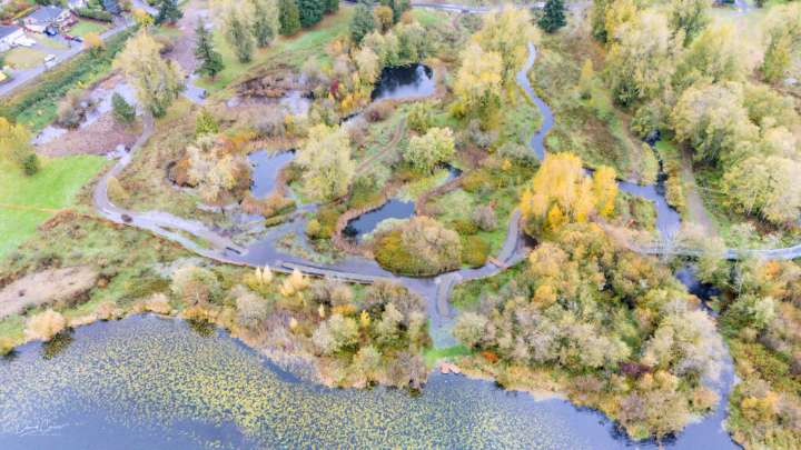 Lake Ballinger Park Viewing Platform and Trails Project, Oct. 26, 2025