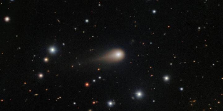 Por qué un científico de Harvard sigue afirmando que el cometa 3I/ATLAS es un visitante interestelar inteligente