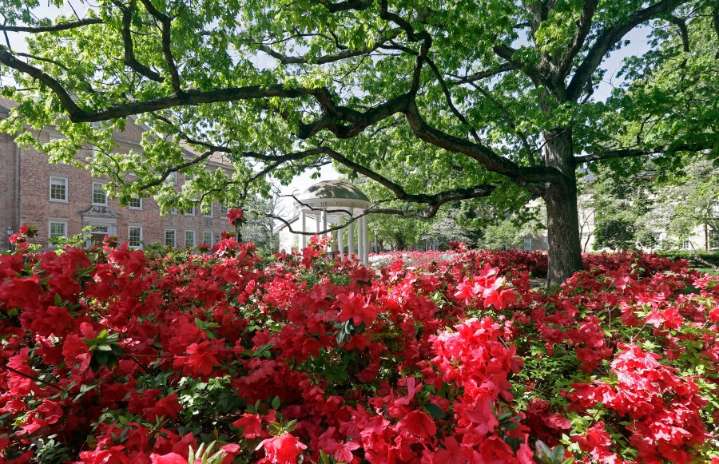 UNC professor on administrative leave due to alleged advocacy for 'politically motivated violence,' university says