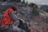 Don’t trust AI for hunting and fishing regulations, officials say.