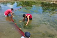 Plan Coporo avanza en el fortalecimiento de la soberanía alimentaria en Mérida