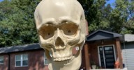 Halloween's grim tidings make me love life all the more