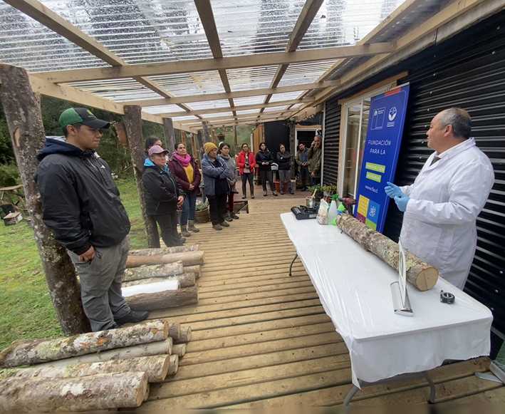 Micosilvicultura: Infor Aysén impulsa cultivo de hongos comestibles en troncos de árboles