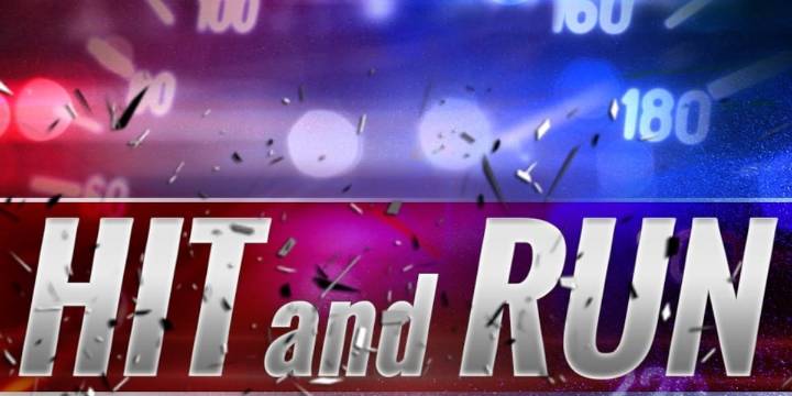 No Kings protester struck by hit and run driver in Stark County