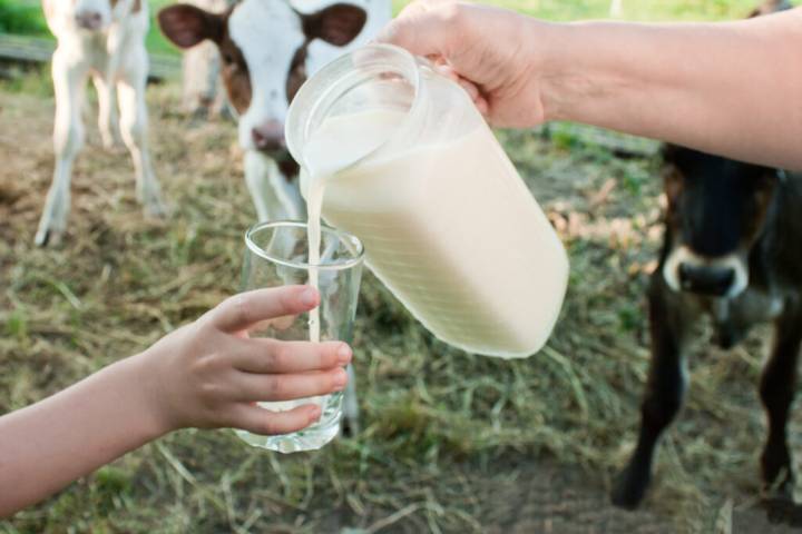 The Raw Milk Revival: Tradition, Taste, and the Risk We Forget
