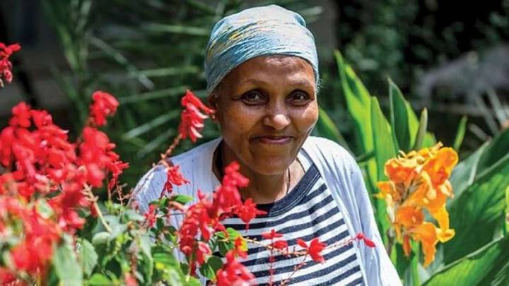 Mamitu Gashe
