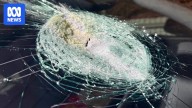 SA Museum investigates whether meteorite collided with car on regional highway