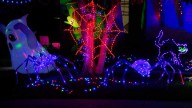 Massive Elkhorn yard display features a whole lot of cute, festive fun