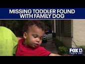 Missing toddler found safe with family dog