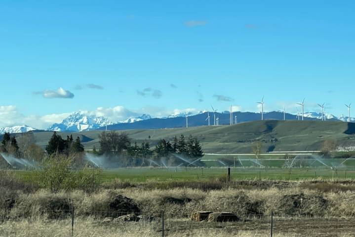 Trump energy department axes funding for Northwest hydrogen hub