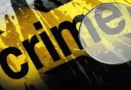 Two Australian women cricketers stalked, molested in Indore; accu...