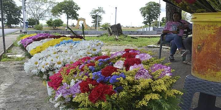 Florista esperan repunte de ventas por día de Los Muertos
